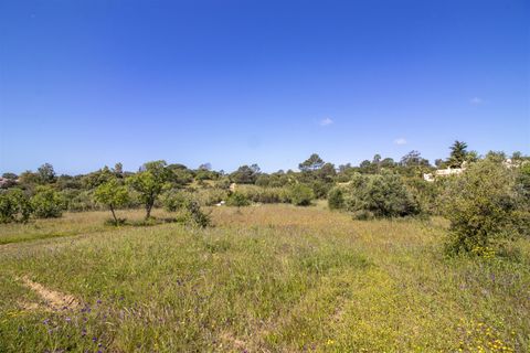 Helårsgrund i Lagoa, Faro, Lagoa - € 1.075.000 | Ref: PPC791-P - foto 13