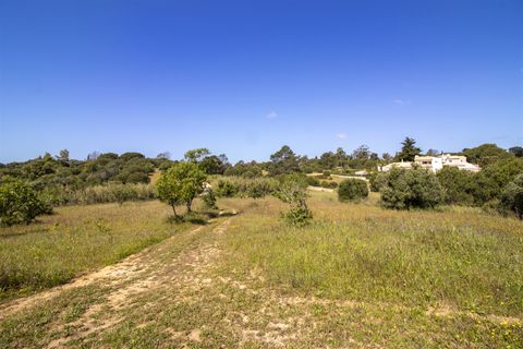 Helårsgrund i Lagoa, Faro, Lagoa - € 1.075.000 | Ref: PPC791-P - foto 14