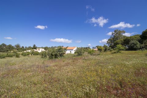 Helårsgrund i Lagoa, Faro, Lagoa - € 1.075.000 | Ref: PPC791-P - foto 15