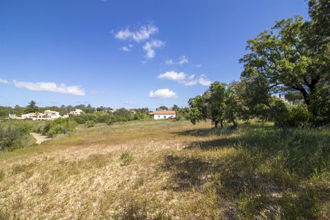Helårsgrund i Lagoa, Faro, Lagoa - € 1.075.000 | Ref: PPC791-P - foto 16