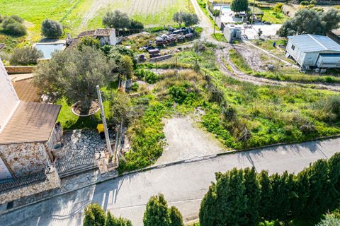 Terra a Sant Joan, Mallorca, Sant Joan - € 159.900 | Ref: 04AM083/3010 - foto 3
