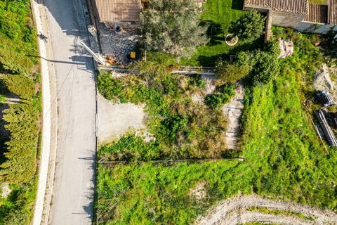 Terra a Sant Joan, Mallorca, Sant Joan - € 159.900 | Ref: 04AM083/3010 - foto 4