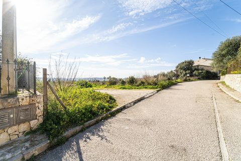 Terra a Sant Joan, Mallorca, Sant Joan - € 159.900 | Ref: 04AM083/3010 - foto 8