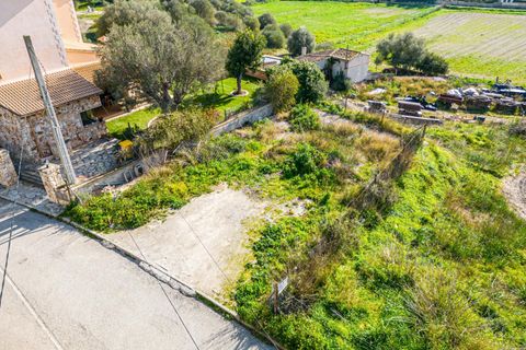 Terra a Sant Joan, Mallorca, Sant Joan - € 159.900 | Ref: 04AM083/3010 - foto 10