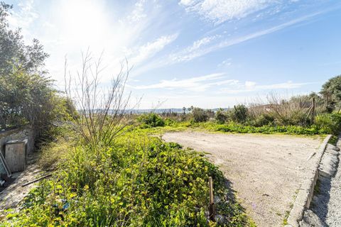 Terra a Sant Joan, Mallorca, Sant Joan - € 159.900 | Ref: 04AM083/3010 - foto 11
