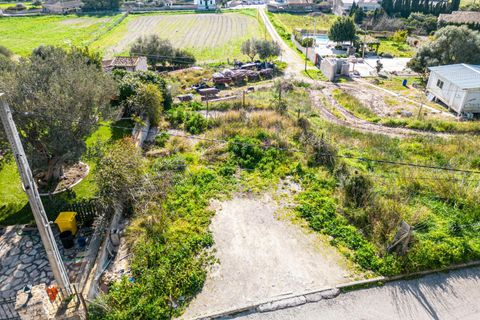 Terra a Sant Joan, Mallorca, Sant Joan - € 159.900 | Ref: 04AM083/3010 - foto 12