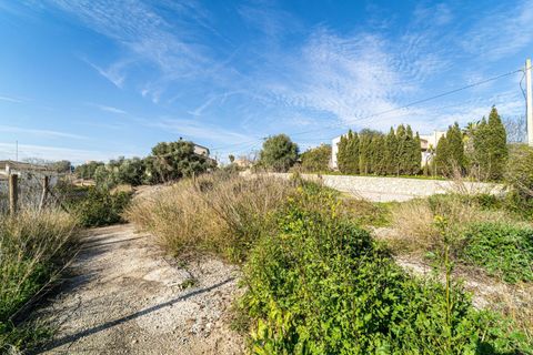 Terra a Sant Joan, Mallorca, Sant Joan - € 159.900 | Ref: 04AM083/3010 - foto 14