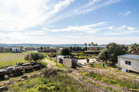 Terra a Sant Joan, Mallorca, Sant Joan - € 159.900 | Ref: 04AM083/3010 - foto 15