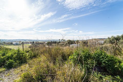 Terra a Sant Joan, Mallorca, Sant Joan - € 159.900 | Ref: 04AM083/3010 - foto 16