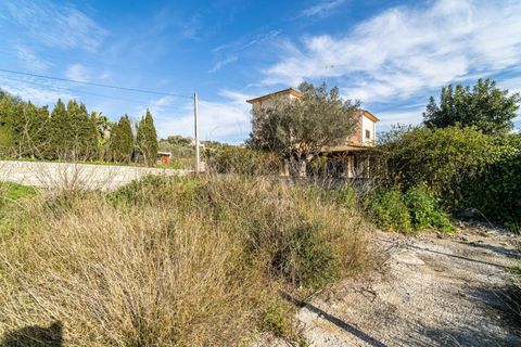 Terra a Sant Joan, Mallorca, Sant Joan - € 159.900 | Ref: 04AM083/3010 - foto 17