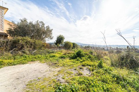 Terra a Sant Joan, Mallorca, Sant Joan - € 159.900 | Ref: 04AM083/3010 - foto 18