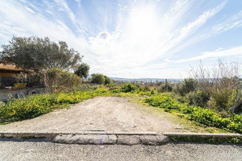 Terra a Sant Joan, Mallorca, Sant Joan - € 159.900 | Ref: 04AM083/3010 - foto 19