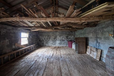 Helårsgrund i Horta, Faial, Horta - € 35.000 | Ref: 374250078 - foto 6