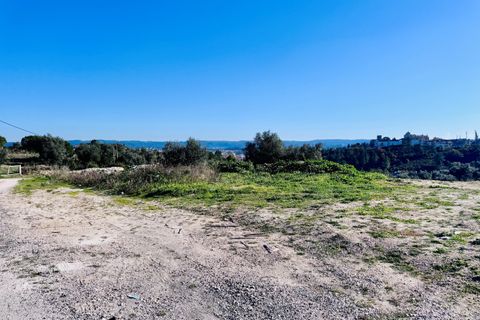 Villa i Tomar, Santarem, Tomar - € 750.000 | Ref: VCP384 - foto 9
