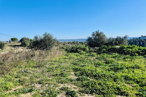 Villa i Tomar, Santarem, Tomar - € 750.000 | Ref: VCP384 - foto 10