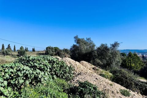 Villa i Tomar, Santarem, Tomar - € 750.000 | Ref: VCP384 - foto 11
