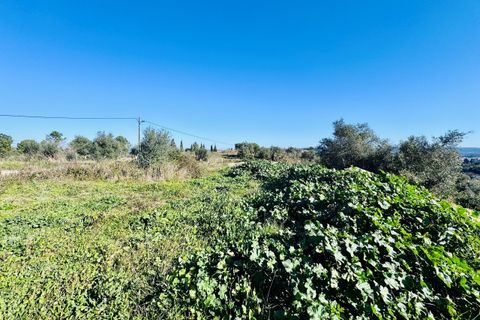 Villa i Tomar, Santarem, Tomar - € 750.000 | Ref: VCP384 - foto 13