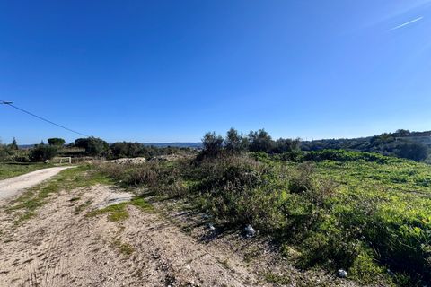 Villa i Tomar, Santarem, Tomar - € 750.000 | Ref: VCP384 - foto 14