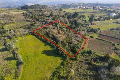 Helårsgrund i Sintra, Lisbon, Sintra - € 90.000 | Ref: KWPT-014059 - foto 1