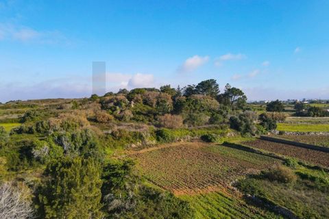 Helårsgrund i Sintra, Lisbon, Sintra - € 90.000 | Ref: KWPT-014059 - foto 2