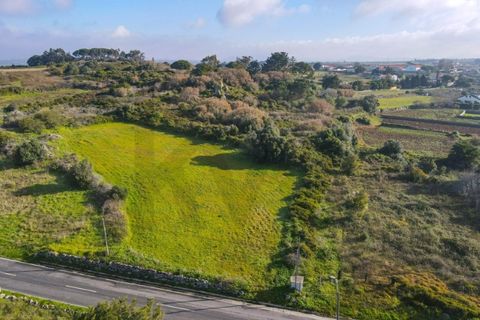 Helårsgrund i Sintra, Lisbon, Sintra - € 90.000 | Ref: KWPT-014059 - foto 3