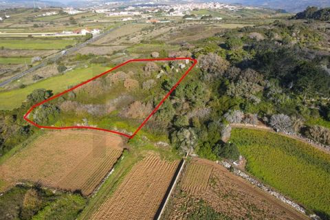 Helårsgrund i Sintra, Lisbon, Sintra - € 90.000 | Ref: KWPT-014059 - foto 4