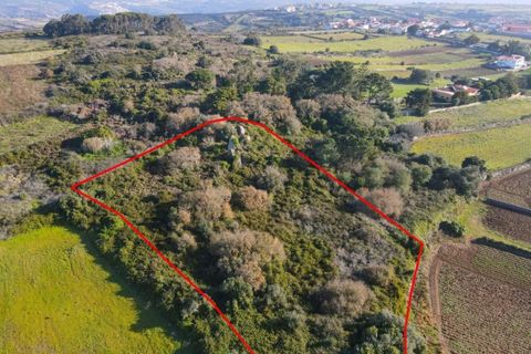 Helårsgrund i Sintra, Lisbon, Sintra - € 90.000 | Ref: KWPT-014059 - foto 5