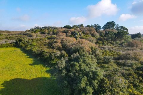 Helårsgrund i Sintra, Lisbon, Sintra - € 90.000 | Ref: KWPT-014059 - foto 6