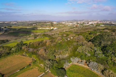 Helårsgrund i Sintra, Lisbon, Sintra - € 90.000 | Ref: KWPT-014059 - foto 7