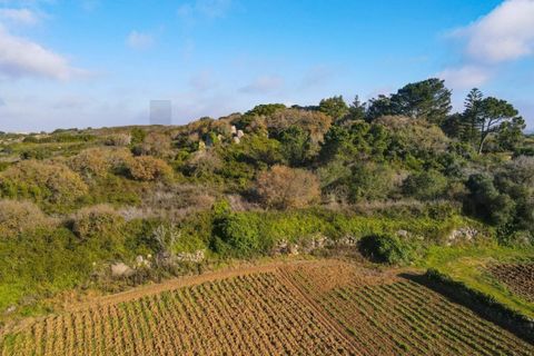 Helårsgrund i Sintra, Lisbon, Sintra - € 90.000 | Ref: KWPT-014059 - foto 8