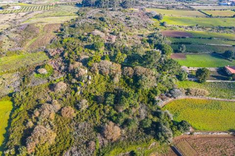 Helårsgrund i Sintra, Lisbon, Sintra - € 90.000 | Ref: KWPT-014059 - foto 9
