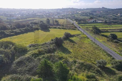 Helårsgrund i Sintra, Lisbon, Sintra - € 90.000 | Ref: KWPT-014059 - foto 10