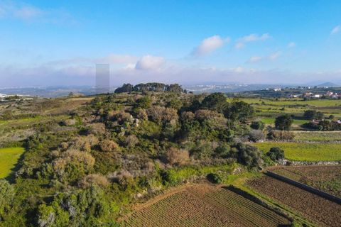 Helårsgrund i Sintra, Lisbon, Sintra - € 90.000 | Ref: KWPT-014059 - foto 12