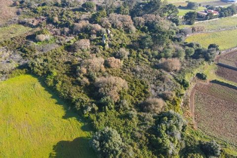 Helårsgrund i Sintra, Lisbon, Sintra - € 90.000 | Ref: KWPT-014059 - foto 14