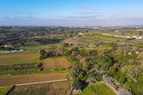 Helårsgrund i Sintra, Lisbon, Sintra - € 90.000 | Ref: KWPT-014059 - foto 15