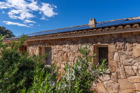 Villa i Porto-Vecchio, Corse-du-Sud, Porto-Vecchio - € 1.590.000 | Ref: RV1744 - foto 2
