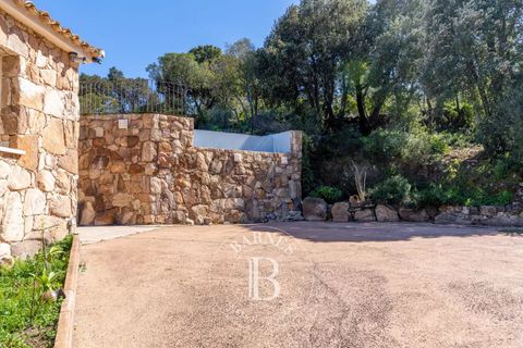Villa i Porto-Vecchio, Corse-du-Sud, Porto-Vecchio - € 1.590.000 | Ref: RV1744 - foto 4
