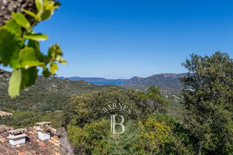 Villa i Porto-Vecchio, Corse-du-Sud, Porto-Vecchio - € 1.590.000 | Ref: RV1744 - foto 6
