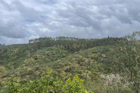 Terra a Almodovar, Beja, Almodovar - € 80.000 | Ref: C0358-00978 - foto 2