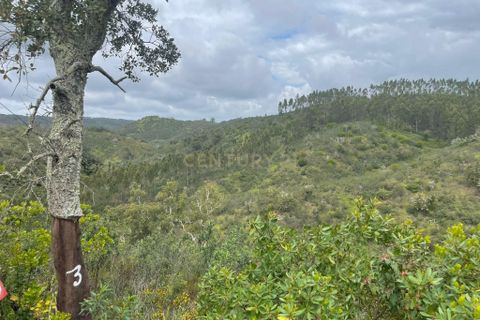 Terra a Almodovar, Beja, Almodovar - € 80.000 | Ref: C0358-00978 - foto 5