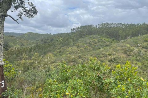 Terra a Almodovar, Beja, Almodovar - € 80.000 | Ref: C0358-00978 - foto 10