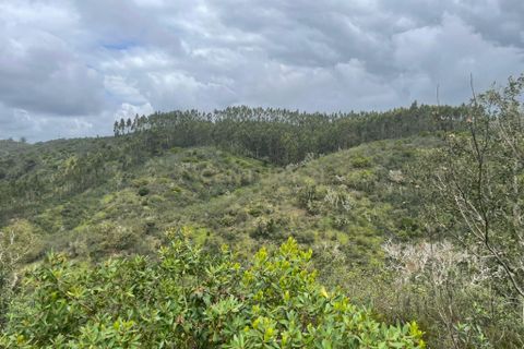Terra a Almodovar, Beja, Almodovar - € 80.000 | Ref: C0358-00978 - foto 9