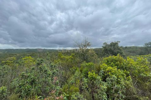 Terra a Almodovar, Beja, Almodovar - € 80.000 | Ref: C0358-00978 - foto 14