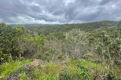 Terra a Almodovar, Beja, Almodovar - € 10.000 | Ref: C0358-00983 - foto 5