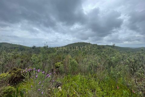 Terra a Almodovar, Beja, Almodovar - € 10.000 | Ref: C0358-00983 - foto 7