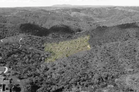 Terra a Almodovar, Beja, Almodovar - € 10.000 | Ref: C0358-00983 - foto 3