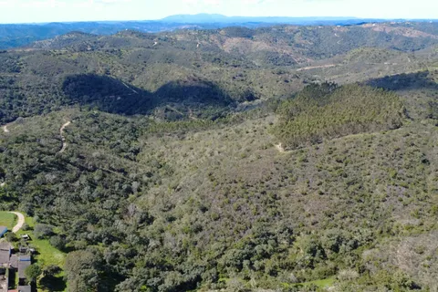 Terra a Almodovar, Beja, Almodovar - € 10.000 | Ref: C0358-00983 - foto 4