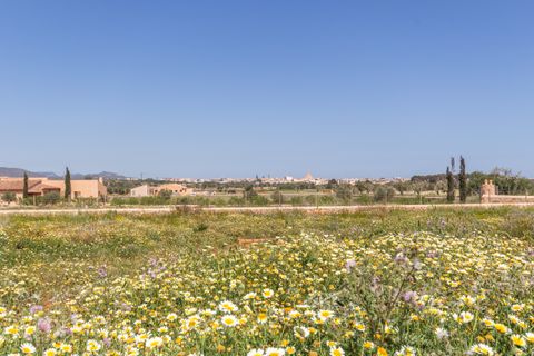Villa i Santanyi, Mallorca, Santanyi - € 3 200 000 | Ref: PS03981 - foto 37