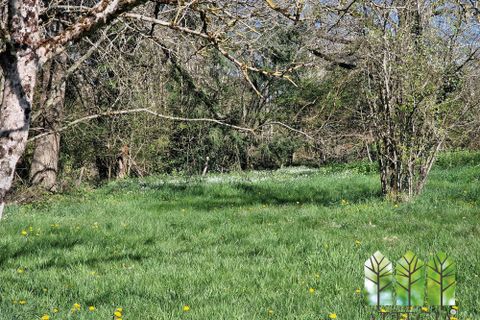Villa a Saint-Saturnin, Cher, Saint-Saturnin - € 85.600 | Ref: CI1218-ATTEGIA - foto 36