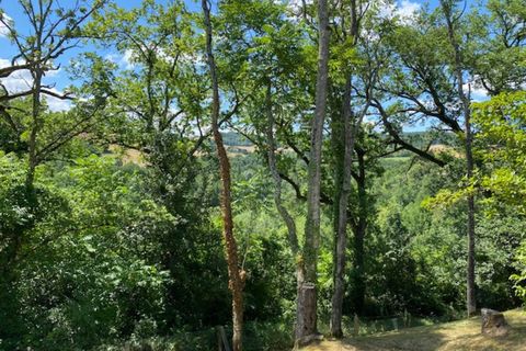 Villa a Puylaurens, Tarn, Puylaurens - € 450.000 | Ref: 340939549086 - foto 42